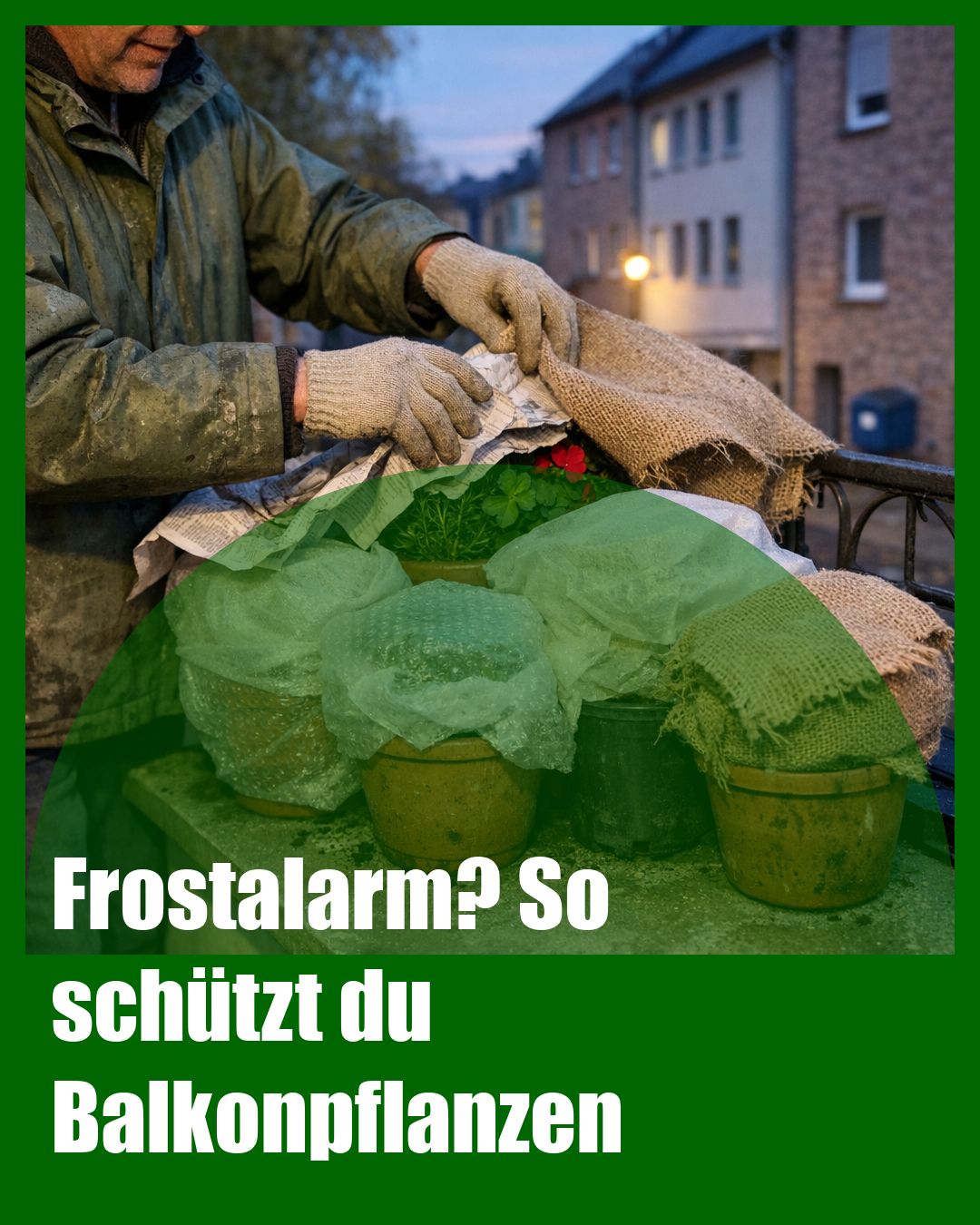 Foto: Frostschutz,Vlies,Eisheilige (KI generiert )