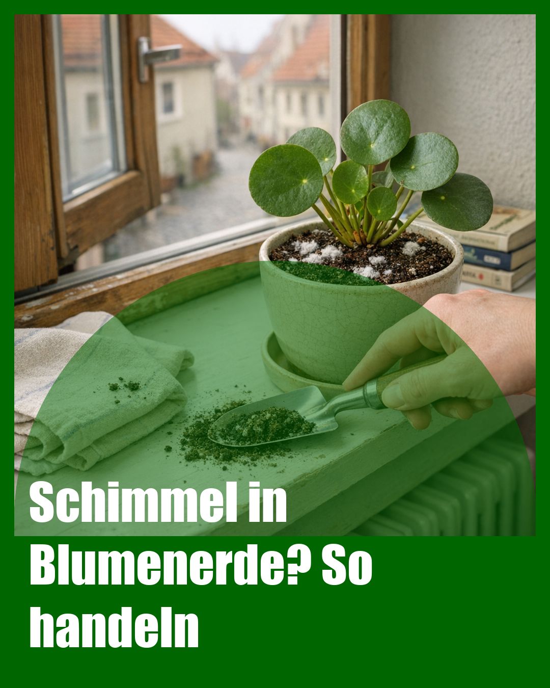Foto: Schimmel,Erde,Lüften (KI generiert )
