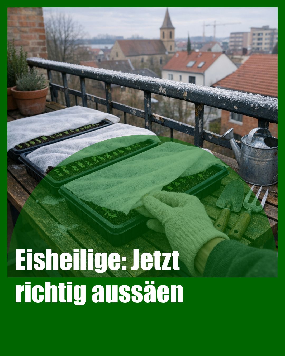 Foto: Eisheilige,Frühbeet,Vlies (KI generiert )