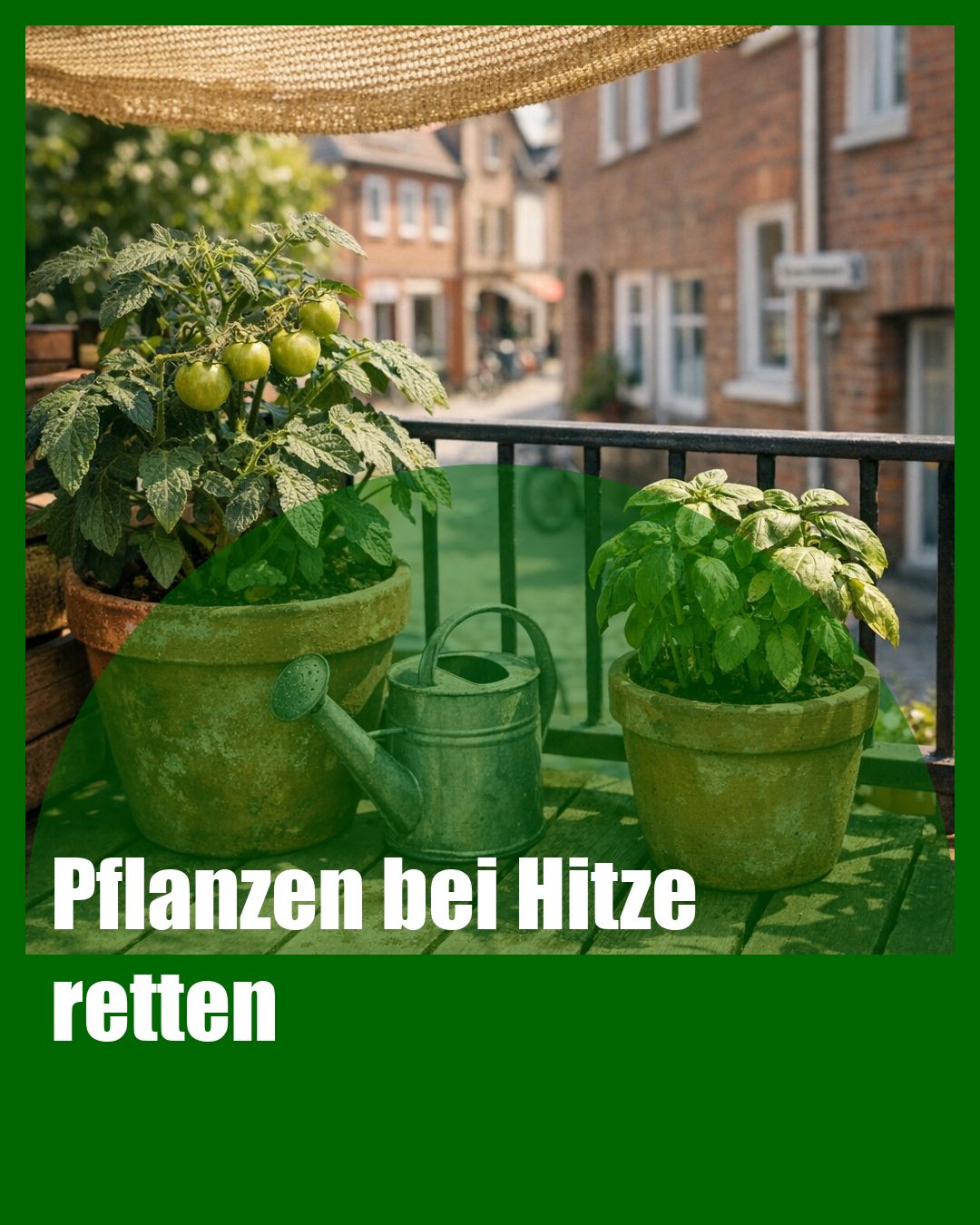 Foto: Hitze,Schattieren,Gießrhythmus (KI generiert )