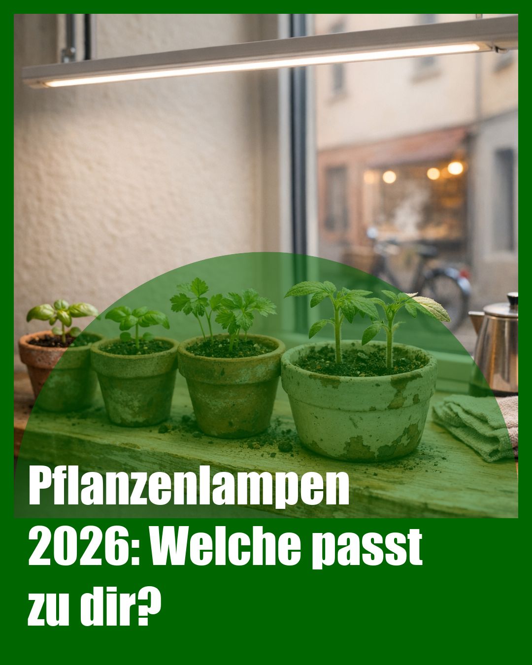 Foto: Vollspektrum,Anzucht,LED (KI generiert )