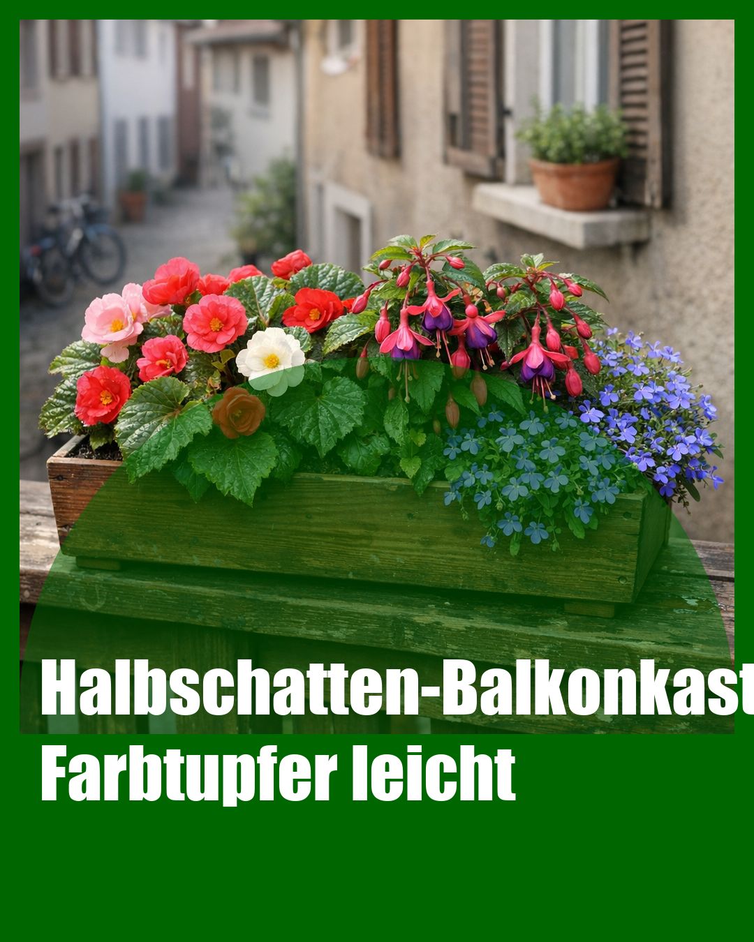 Foto: Halbschatten,Balkonkasten,Begonien (KI generiert )